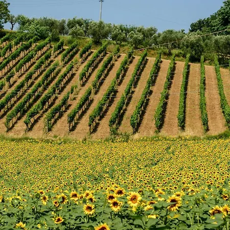 Kemping Podere Sei Poorte - Contentissimo