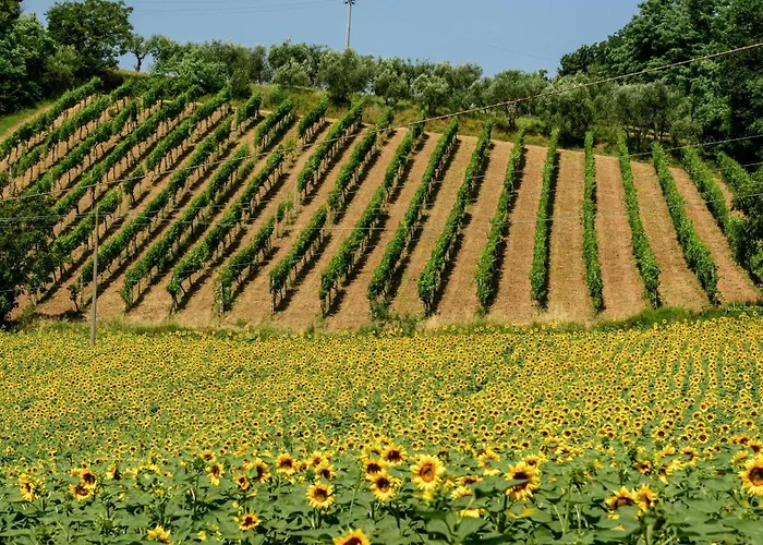 Kemping Podere Sei Poorte - Contentissimo