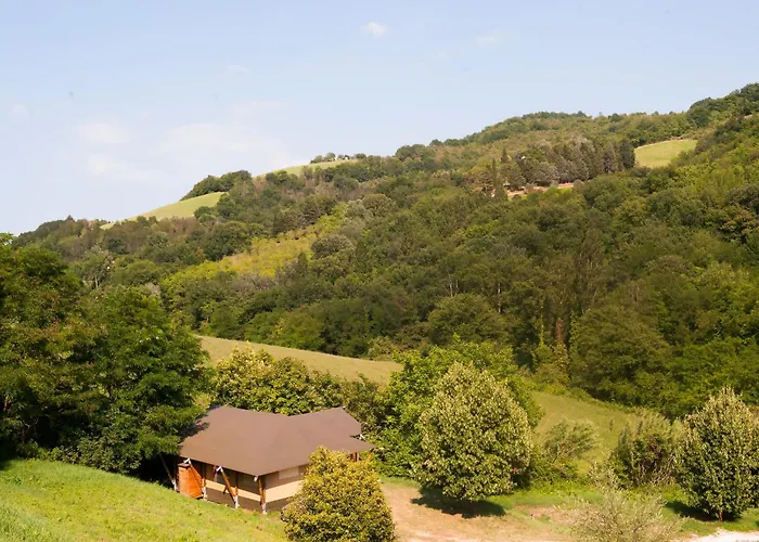 Podere Sei Poorte - Contentissimo 营地 Monteciccardo